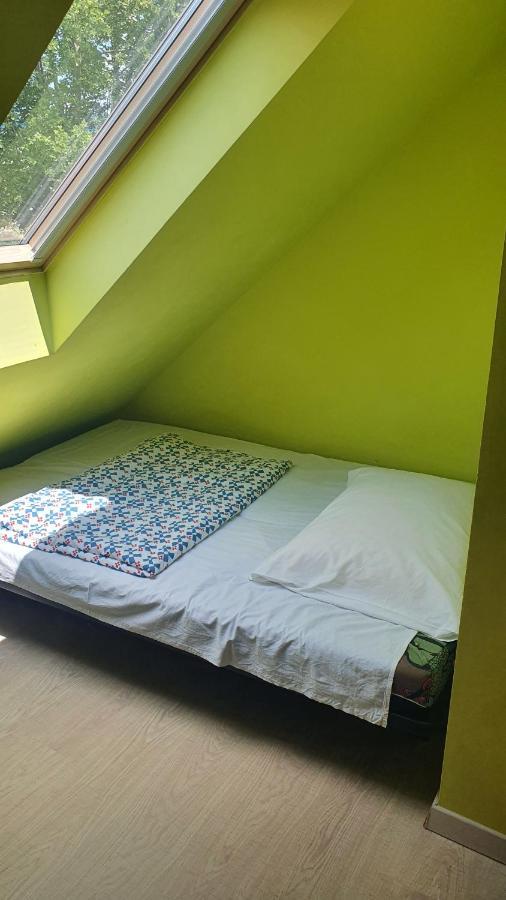 ZamárdiSunshine Sh Apartmanhazアパートメント エクステリア 写真